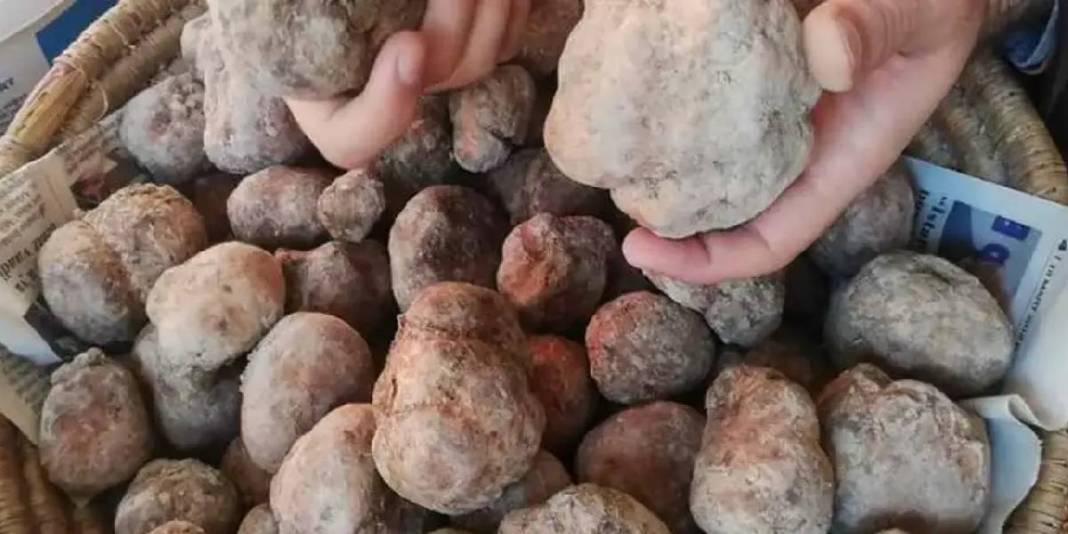 Tek tek arıyorlar, bulan havaya uçuyor! ‘Altın bulsam bu kadar sevinmem’ 5